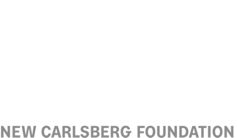 Ny Carlsbergfondet logo